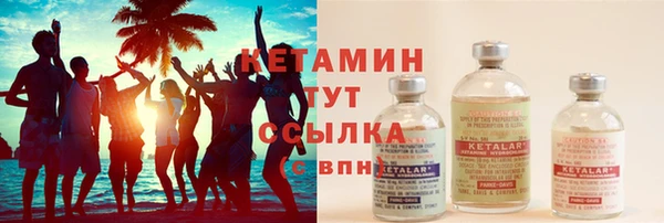 прущие грибы Армянск