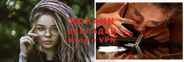 прущие грибы Армянск