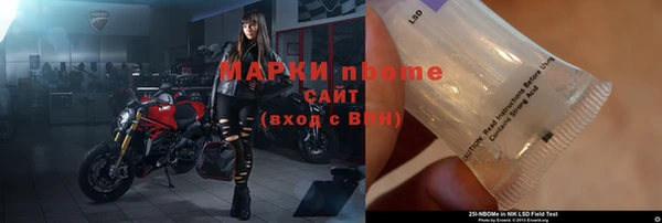 прущие грибы Армянск